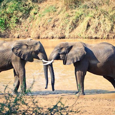 Mtomeni Safari Camp Ξενοδοχείο Phalaborwa Εξωτερικό φωτογραφία