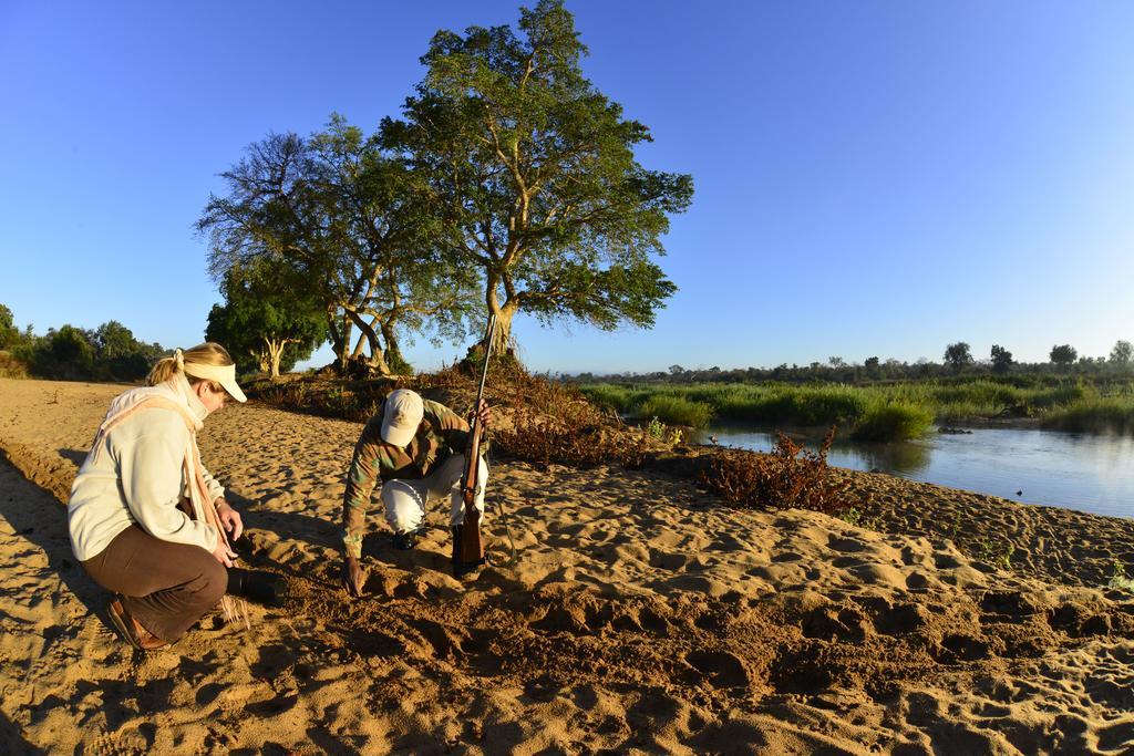 Mtomeni Safari Camp Ξενοδοχείο Phalaborwa Εξωτερικό φωτογραφία