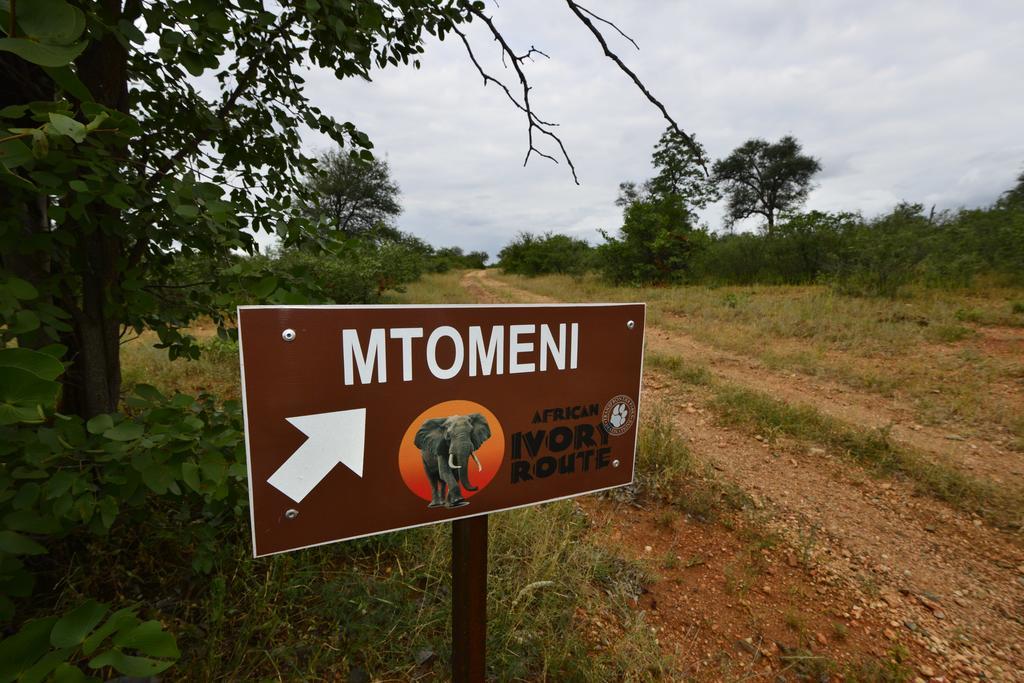 Mtomeni Safari Camp Ξενοδοχείο Phalaborwa Εξωτερικό φωτογραφία