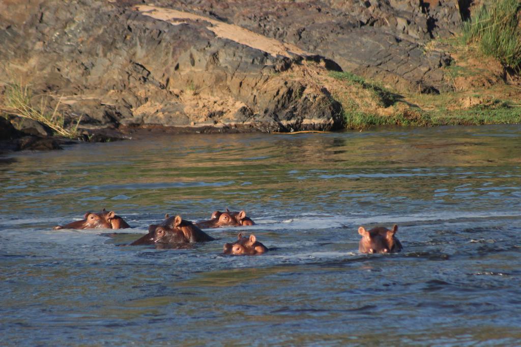 Mtomeni Safari Camp Ξενοδοχείο Phalaborwa Εξωτερικό φωτογραφία