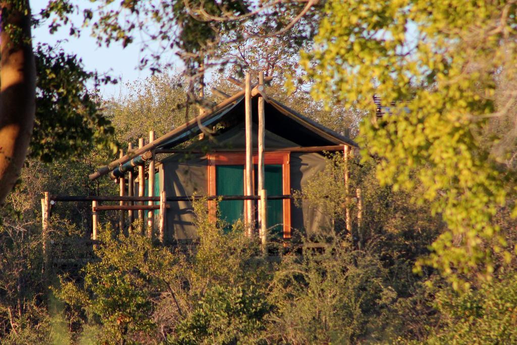 Mtomeni Safari Camp Ξενοδοχείο Phalaborwa Εξωτερικό φωτογραφία