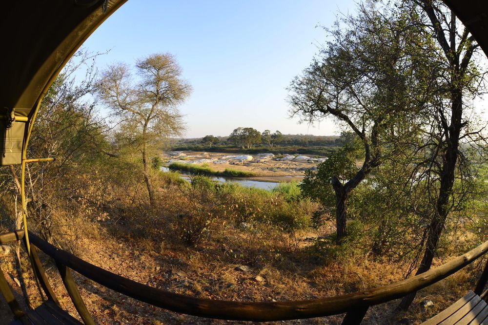 Mtomeni Safari Camp Ξενοδοχείο Phalaborwa Εξωτερικό φωτογραφία